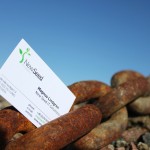 New Seed - inte den svagaste länken i kedjan